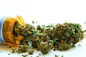 82 % des Français favorables au cannabis thérapeutique